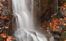 Taking a “Wait and See” Approach to Life