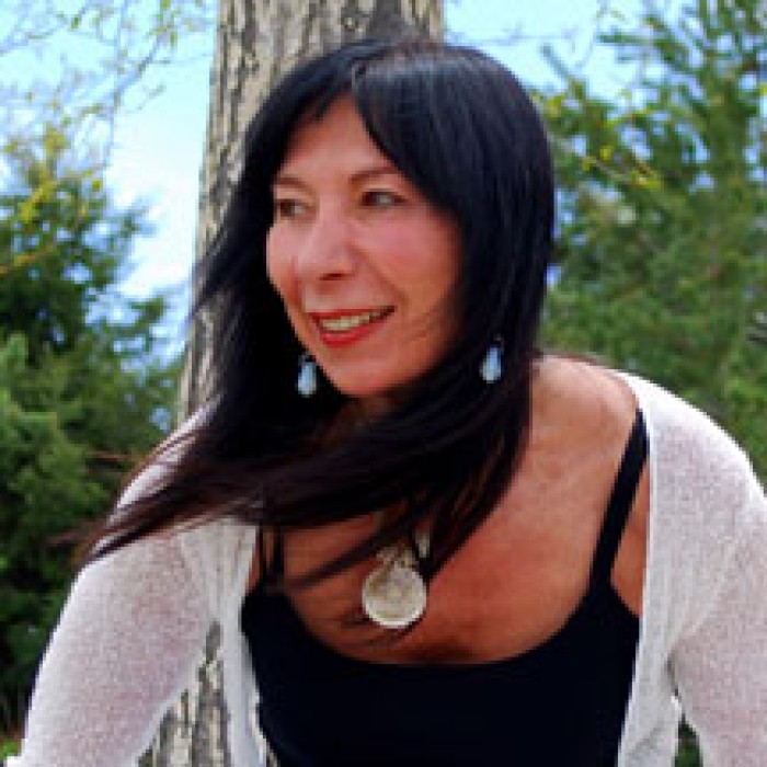 Light Figures: Finding the Core of Consciousness at Southwestern College, Santa Fe