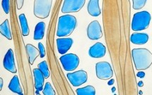 Insights Rise to the Surface