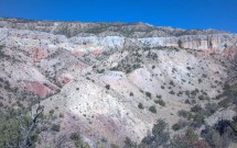 Psychopathology in the Chama River Canyon: First-Year Student Blog