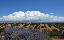 Safety, Fear, The Trunk, Wise Decisions and Moving Forward at Southwestern College