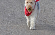 A Poem All Therapists Should Know