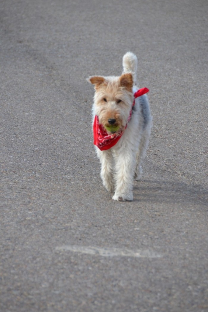 A Poem All Therapists Should Know