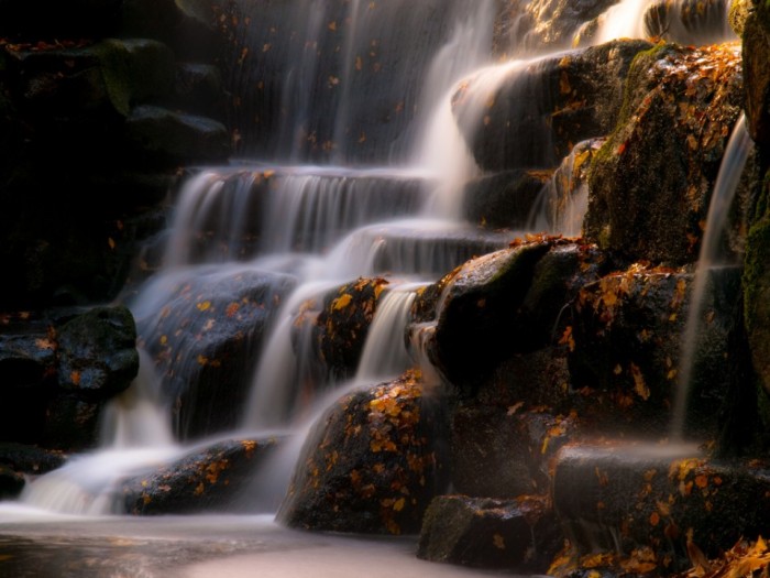 Meditation as a Process of Surrender