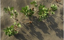 Awakening to the Call of the Soul