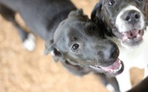 How to Resolve Conflict by Naming Expectations