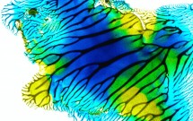 The Transformative Power of Group Work by Claudia Escareño-Clark