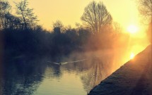 Several Levels of Generosity