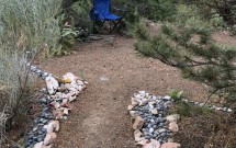 Ecotherapy, Self Care and Nature