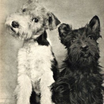 Worried About Licensing Exams? Or Starting Your First Job As a Therapist?