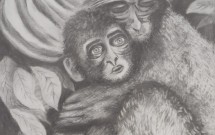 Wild Heart Gallery Featured Artist: Laura Murphy