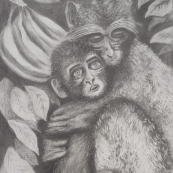 Wild Heart Gallery Featured Artist: Laura Murphy