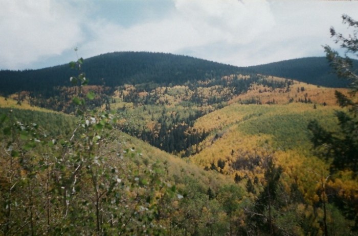 Nature As Teacher: Reflections on a Hike by Hilary Gunby