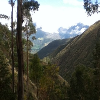 Puma……Peruvian Shaman Encounter