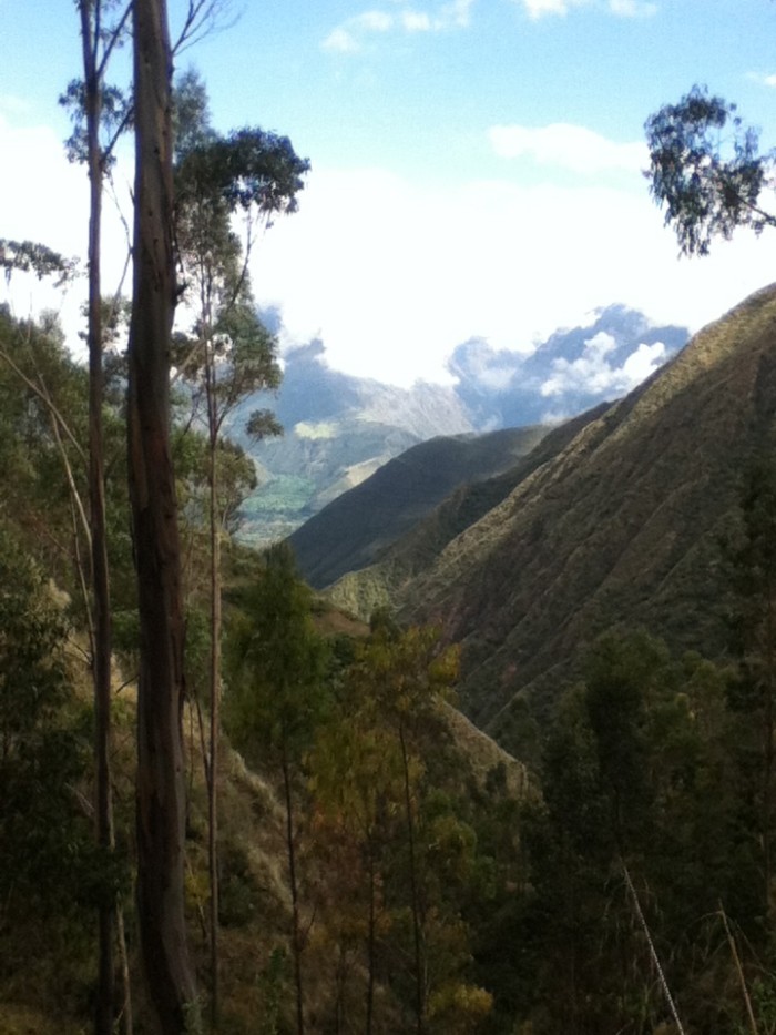 Puma……Peruvian Shaman Encounter