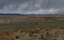 Southwestern Soundbites: TGR Dying to Know
