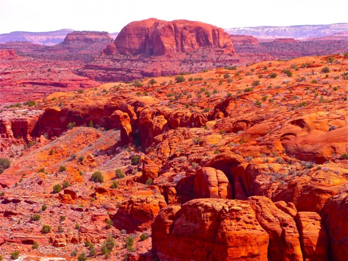 Counseling, Consciousness, and Survival in Utah’s Horseshoe Canyon