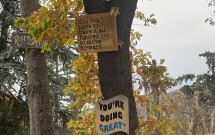 Networking: A Key Part of Marketing a Private Practice by Kam Monroe, MA, LPCC