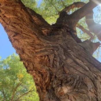 Learning with Nature, by Nena Martinez Anaya, Doctoral Student