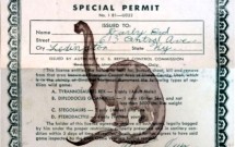 Please Keep Your LPCC License