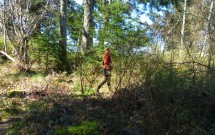 Field Notes on Walking