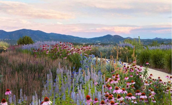 Springtime Flowers of Santa Fe By Tya Bussell