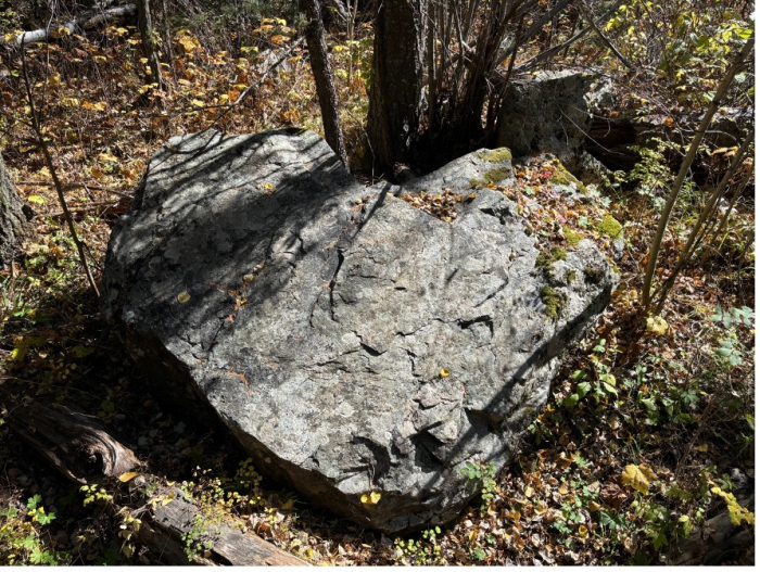 Doctoral Community as an Aspen Grove by Genell Howell, PhD student