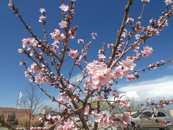 Soul-Making at Southwestern College