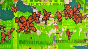 Katherine Beck Collage with Butterflies