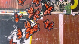 Katherine Beck Collage