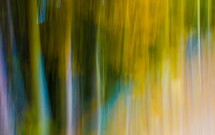 Imagination or Memory? by Beth Lykins