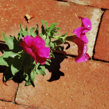 Dealing With Anger in the Grief Process by Ted Wiard, LPCC, CGC