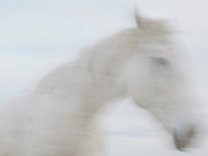 …about her body and her lost horse