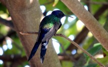 The Southwestern College Masters in Counseling Program: What Makes us Unique?