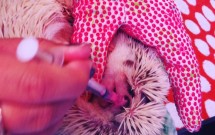 Self-Care and HedgeHUGS