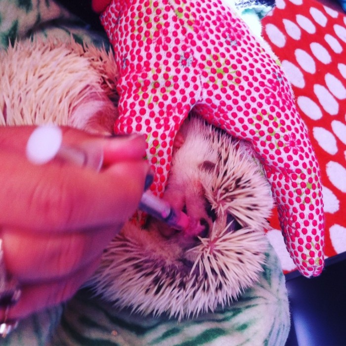 Self-Care and HedgeHUGS
