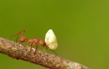 Knowing when to say “when”