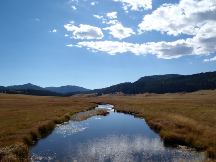 The Healing Power of Ceremony and Nature