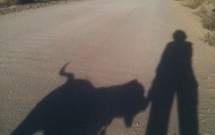 Shadow: an area of darkness created when a source of light is blocked