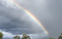 A Therapist in Times of Covid-19 : by alum Allegra Borghese