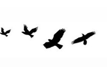 The World Dream – a poem
