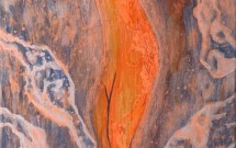 Wild Heart Gallery: Spring Reflections 2020