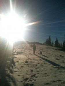 Walking in the snow