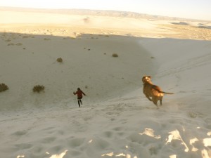 White Sands