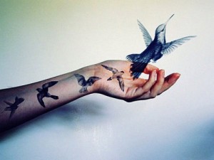 gfx,birds,arm,tattoos,art,hand-f776249625540fa2b53c10959e8a696c_h