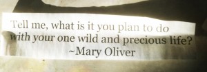 mary oliver quote