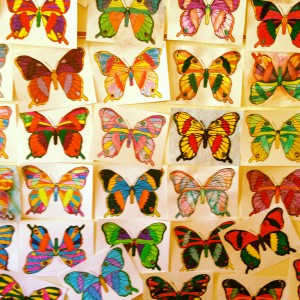 butterflies