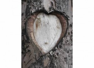 tree heart